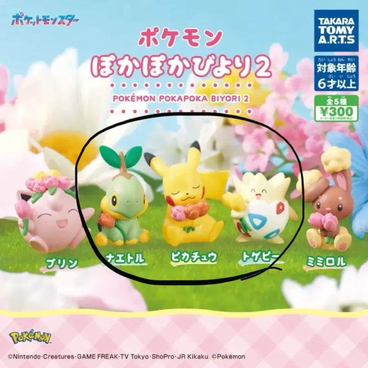 [BUNJANG] Pokemon Pokapoka Biyori Gacha Figures / 포켓몬 포카포카 비요리, 따뜻한 날씨 가챠