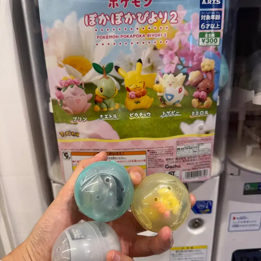 [BUNJANG] Pokemon Pokapoka Biyori Gacha Figures / 포켓몬 포카포카 비요리, 따뜻한 날씨 가챠
