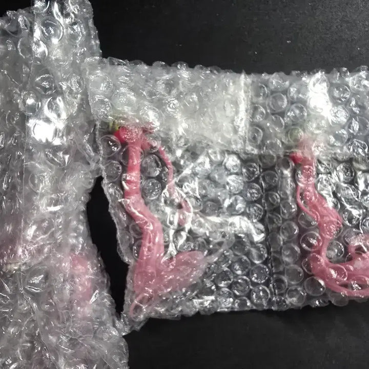 [BUNJANG] Hatsune Miku FURYU Sakura Miku 2026 Noodle Stopper Figure / 하츠네 미쿠 후류 사쿠라 2026 누들스토퍼 피규어 판매합니다