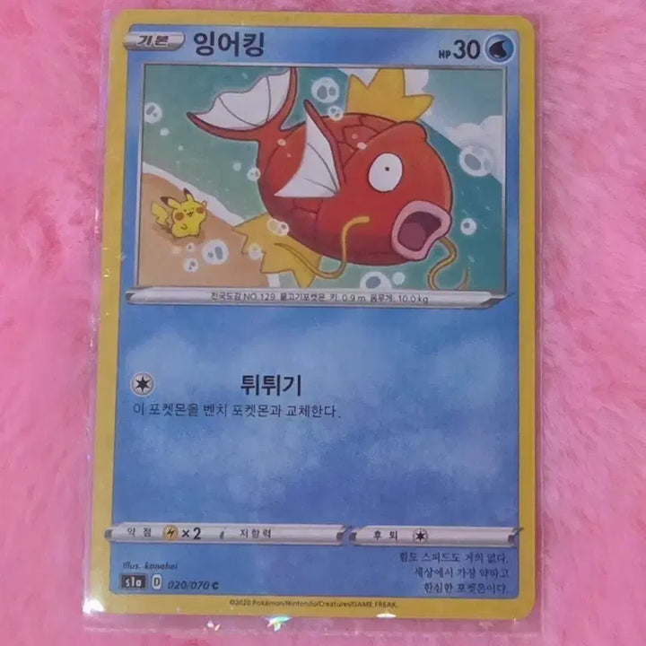 [BUNJANG] Magikarp Pokemon Card / 잉어킹 카드 팝니다