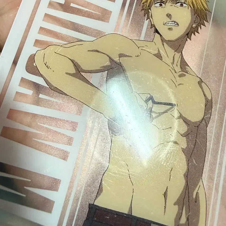 [BUNJANG] Chainsaw Man Card Bundle Set / 일괄) 체인소맨 카드 판매