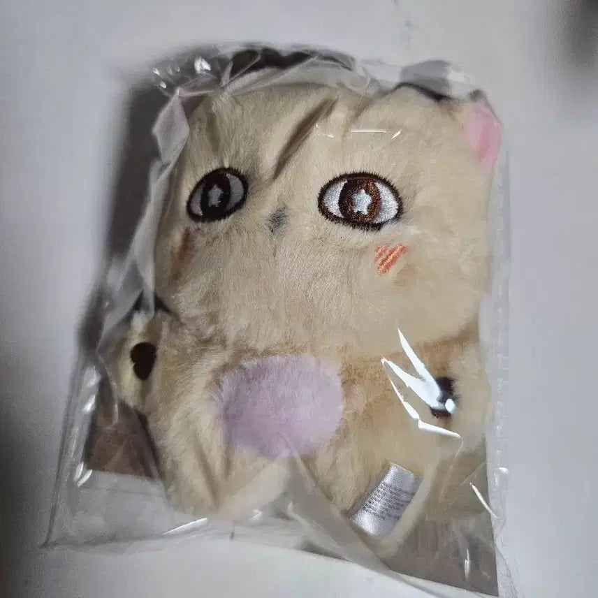 [BUNJANG] Park Jihoon Sosim Doll Keychain (Photocard Included) / 박지훈 소심이 인형 키링 판매합니다(포카포함)