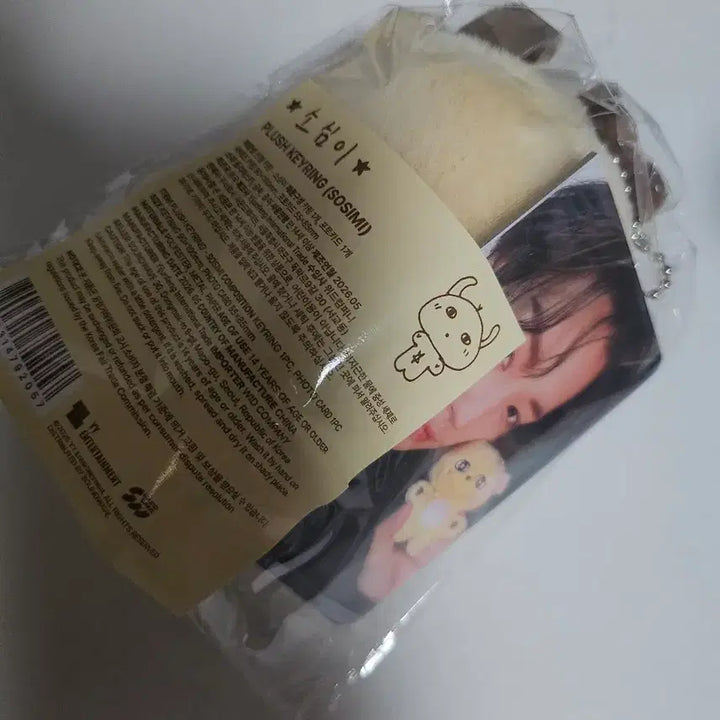[BUNJANG] Park Jihoon Sosim Doll Keychain (Photocard Included) / 박지훈 소심이 인형 키링 판매합니다(포카포함)