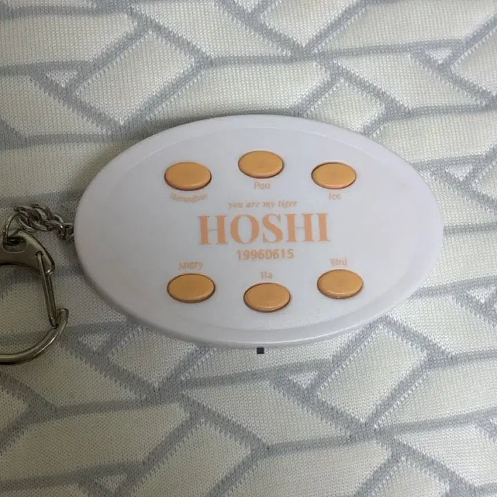 [BUNJANG] SEVENTEEN HOSHI Voice Keyring / 세븐틴 호시 보이스키링