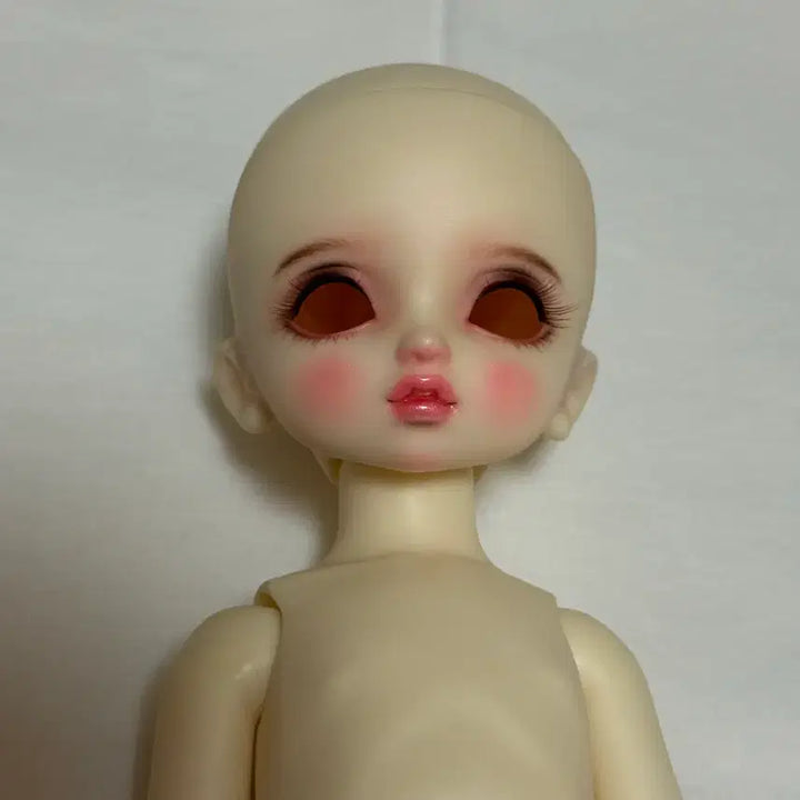[BUNJANG] Volks First Bluebird Doll / 보크스 퍼스트 파랑새