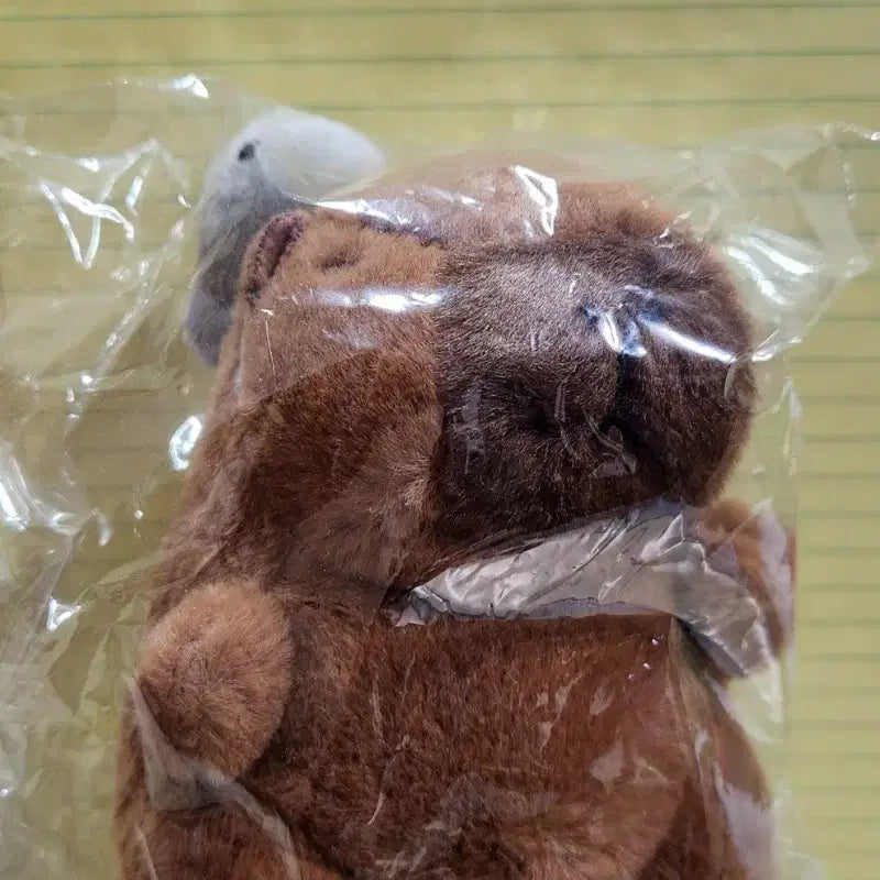 [BUNJANG] Capybara Plush / 카피바라