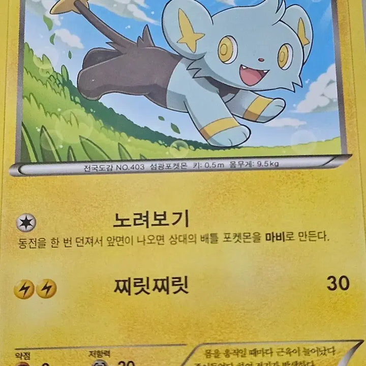 [BUNJANG] Pokemon Shinx Trading Card / 포켓몬카드 꼬링크