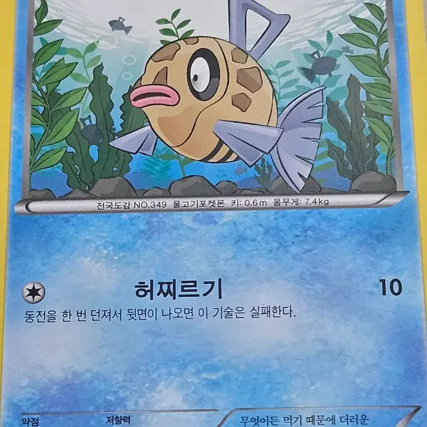 [BUNJANG] Pokemon Card Vintage / 포켓몬 카드 빈티나