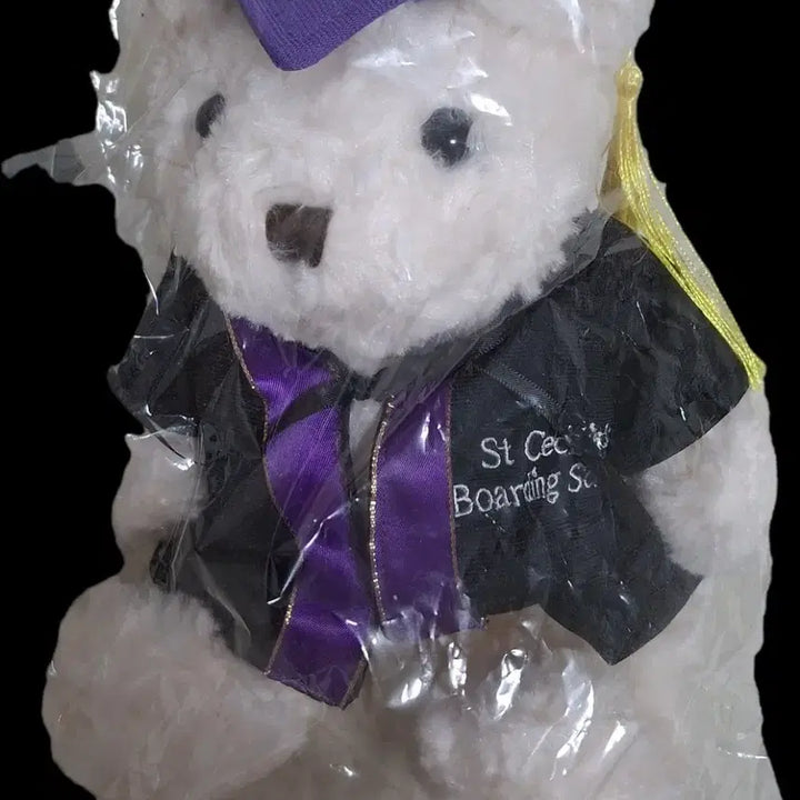 [BUNJANG] Bear the Musical Graduation Bear Plush Doll (2022) / 2022 베어 더 뮤지컬 졸업곰 곰인형