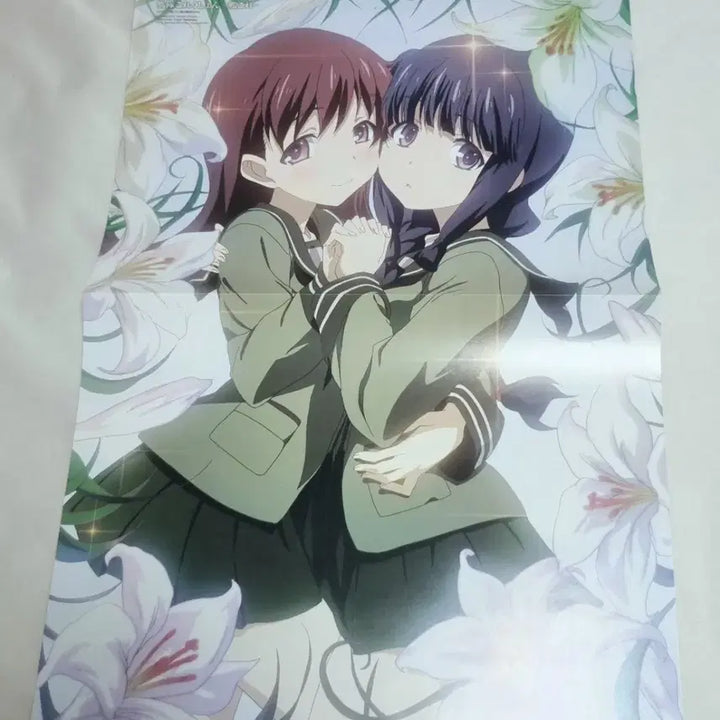 [BUNJANG] PriPara Kankore Double-Sided Poster / 프리즘스톤 프리티리듬 프리파라 칸코레 양면 포스터