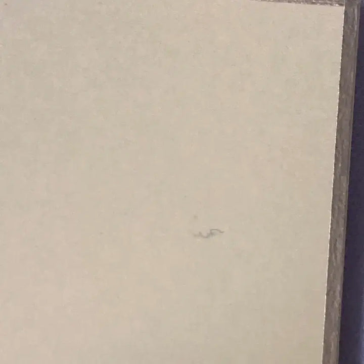 [BUNJANG] My Hero Academia Katsuki Bakugo Shikishi Art Board / 히로아카 바쿠고 색지