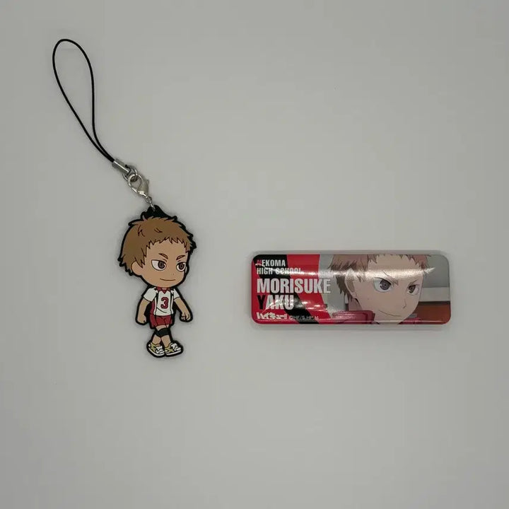 [BUNJANG] Haikyuu!! Yaku Accessories Set: Rubber Strap &amp; Can Badges / 하이큐 야쿠 굿즈 러버스트랩 키링 및 캔뱃지
