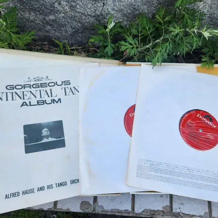 [BUNJANG] Alfred Hause Orchestra Gorgeous Continental Tango 2LP Set / 알프레드 하우제 악단Gorgeous Continental Tango Al