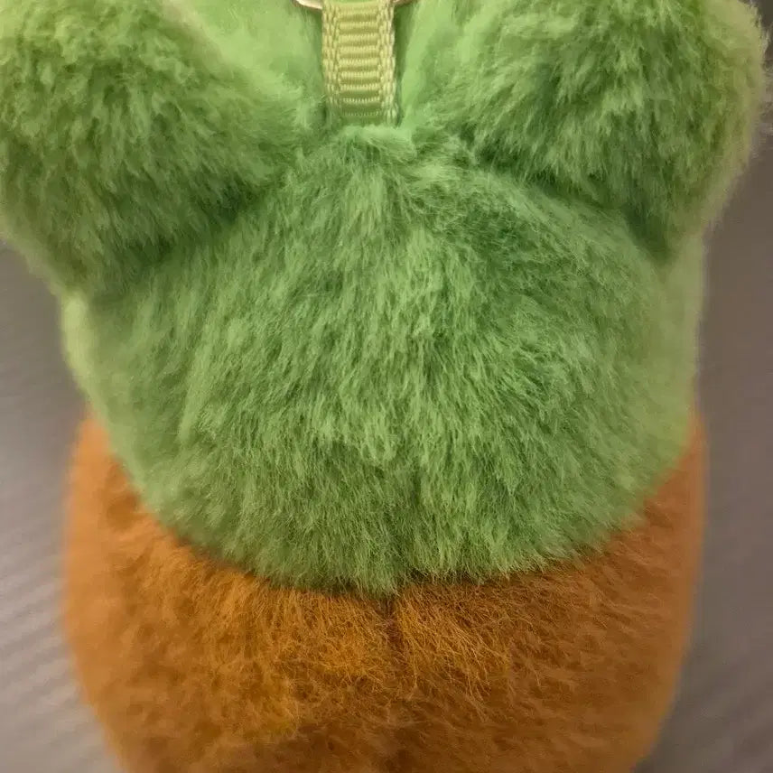 [BUNJANG] Capybara Frog Hat Plush Keychain / 카피바라 인형 키링 판매합니다