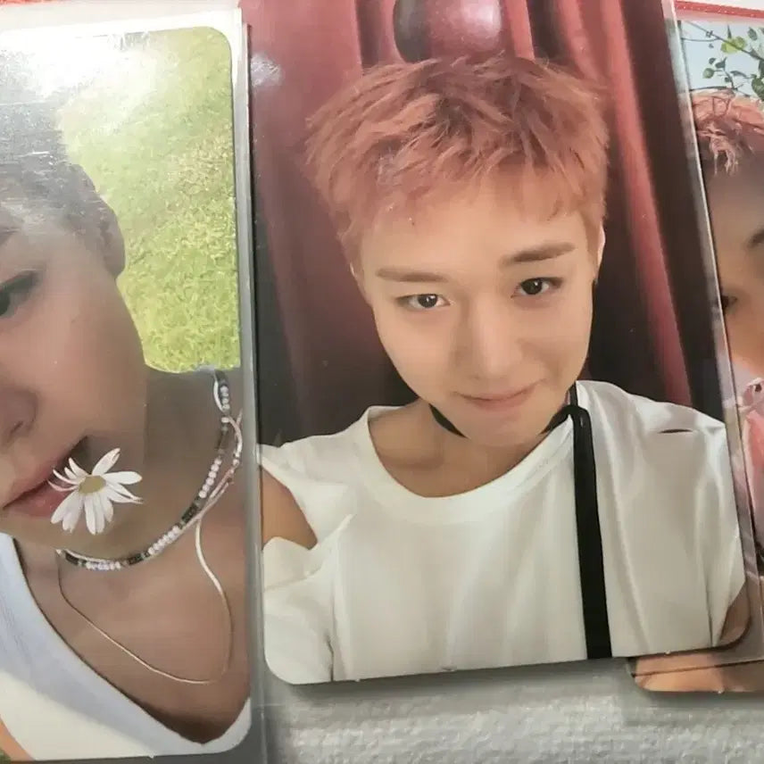 [BUNJANG] Park Ji Hoon Reflect Photocard / 박지훈 리플렉트 포카
