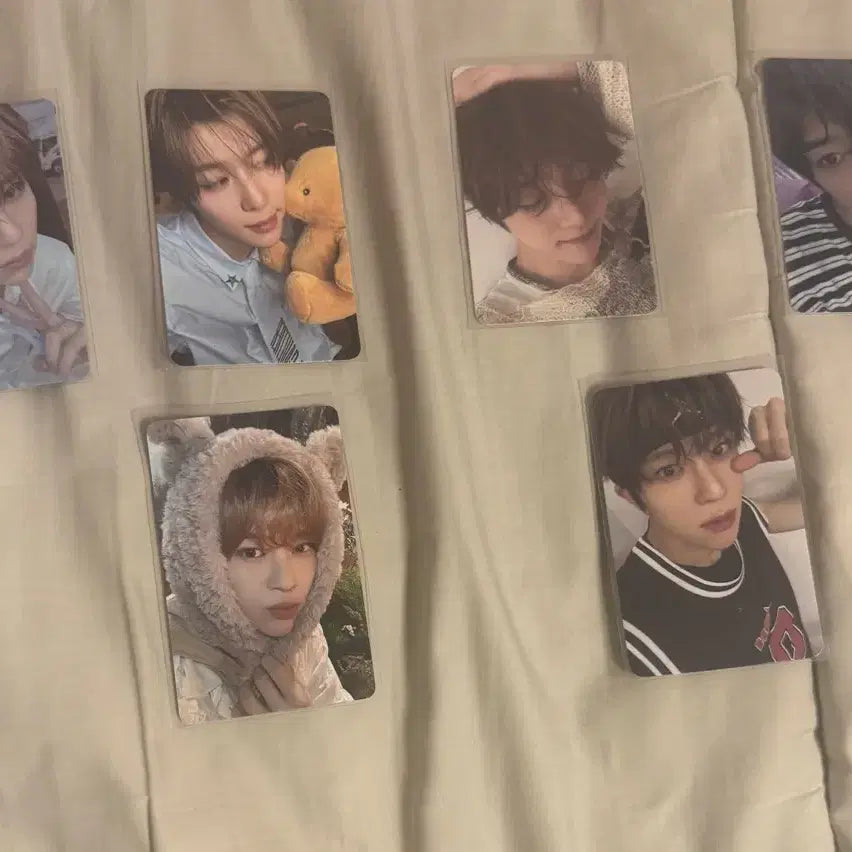 [BUNJANG] NCT WISH Sion Steady Photocard / 급처 엔시티위시 엔위시 시온 스테디 포카 위시 포카 미공포