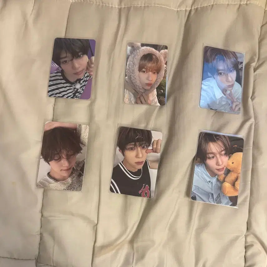 [BUNJANG] NCT WISH Sion Steady Photocard / 급처 엔시티위시 엔위시 시온 스테디 포카 위시 포카 미공포