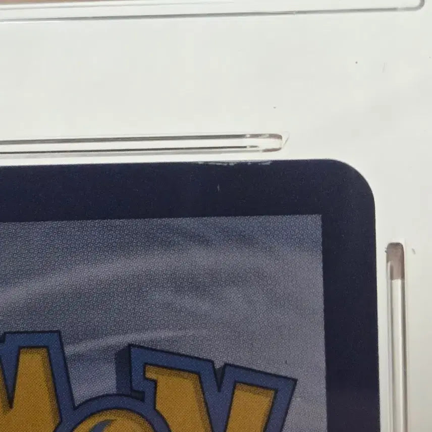 [BUNJANG] Pokemon Card: Fiana&