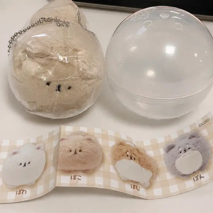 [BUNJANG] Qualia Yurufuwa Pomeranian Plush Toy Figure (Capsule Opened, Unsealed) / 미개봉)퀄리아 유루후와 포메라니안 인형 가챠 강아지 피규어