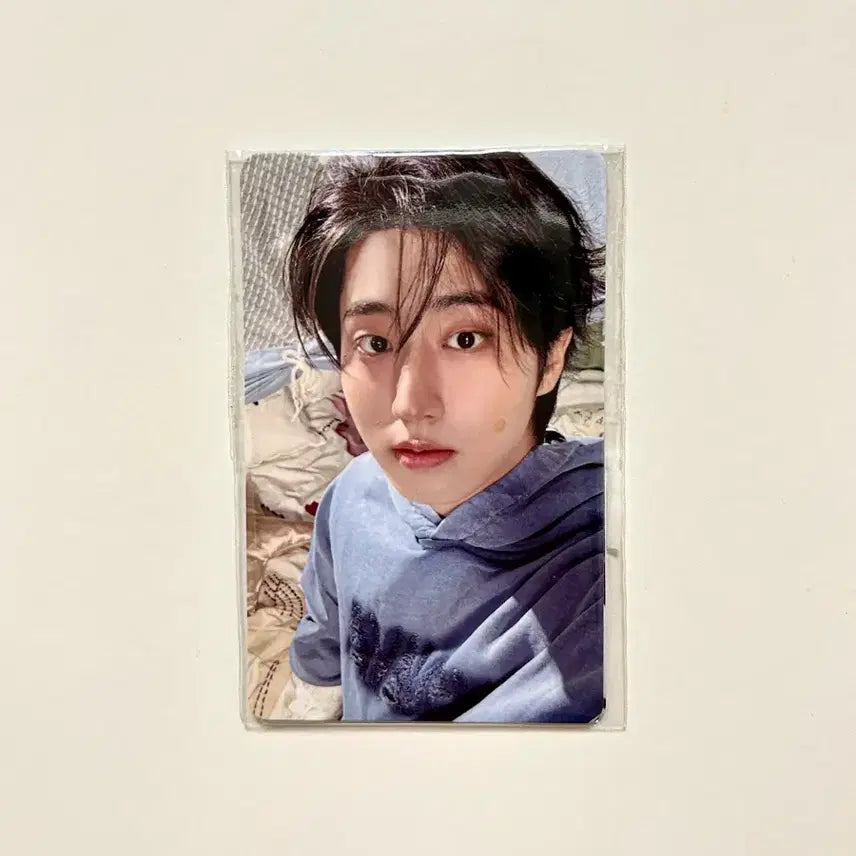 [BUNJANG] Stray Kids 6th Fan Meeting Online MD Photocard / 스키즈 한 스테이 6기 팬미팅 온라인 엠디 MD 4만원 이상 구매 특전 포토카드