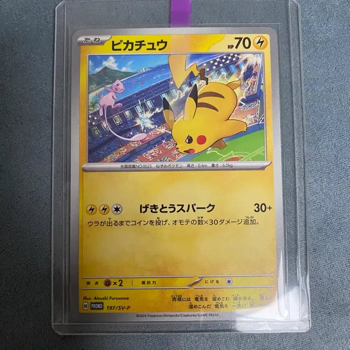 [BUNJANG] Pokemon Card Jim Promo Pikachu 197/SV-P / [일판] 포켓몬카드 짐프로모 피카츄 197/SV-P(상태최상)