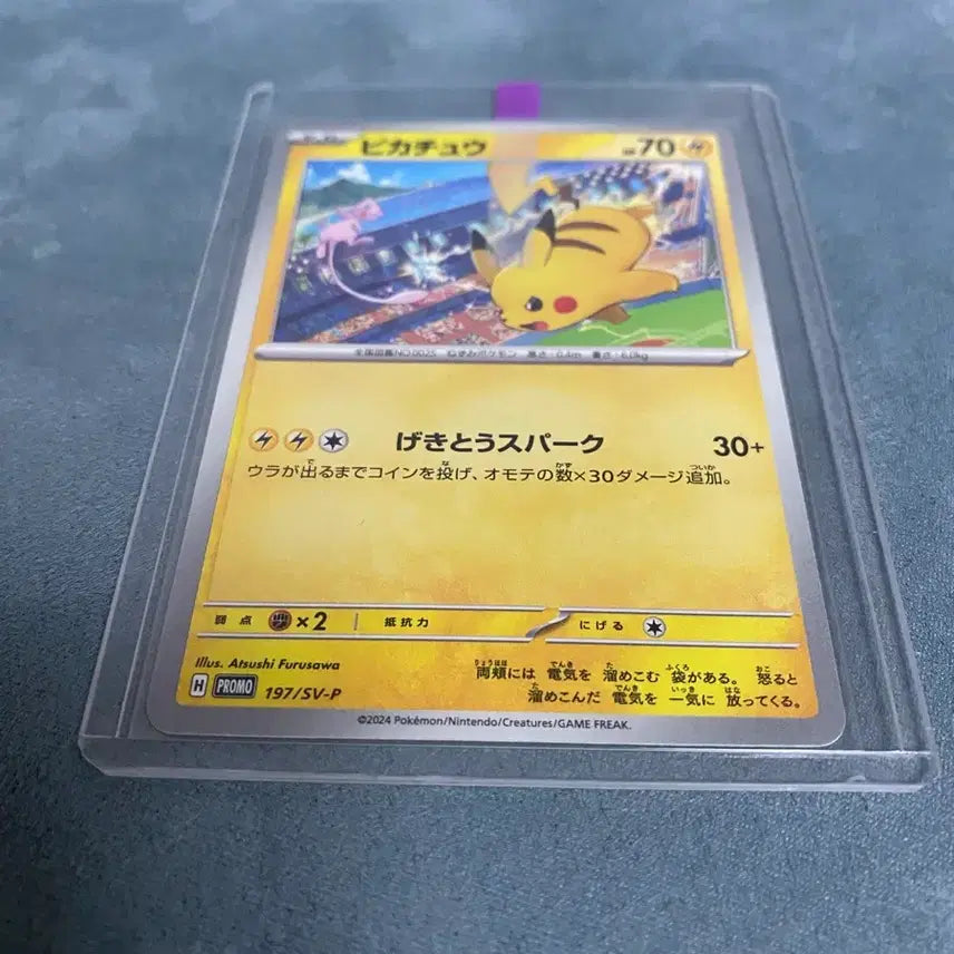 [BUNJANG] Pokemon Card Jim Promo Pikachu 197/SV-P / [일판] 포켓몬카드 짐프로모 피카츄 197/SV-P(상태최상)