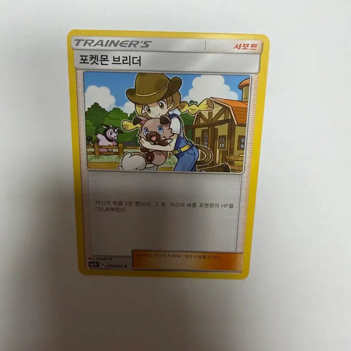 [BUNJANG] Pokemon Breeder&