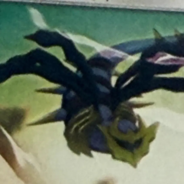 [BUNJANG] Lucario Pokemon Card / 루카리오 포켓몬카드