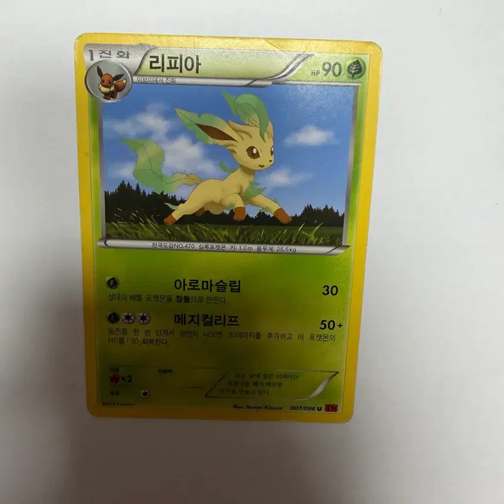 [BUNJANG] Lippia Pokemon Card / 리피아 포켓몬카드