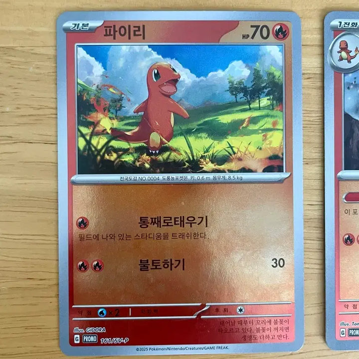[BUNJANG] Pokemon Card Charmander, Charmeleon, Charizard Promo Set / 포켓몬카드 파이리 리자드 프로모 세트