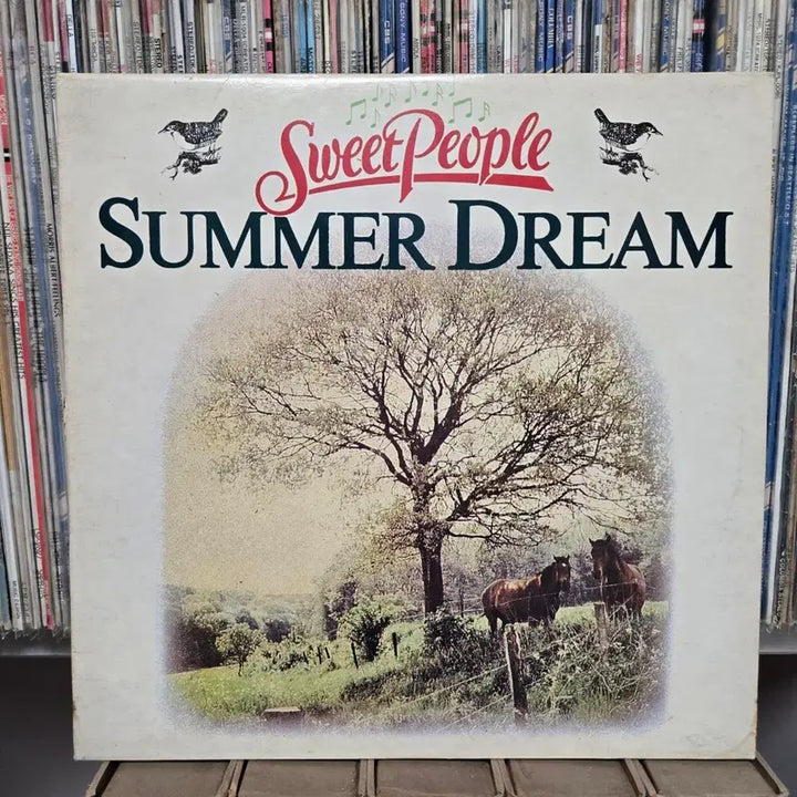 [BUNJANG] Sweet People Summer Dream LP Record / 스윗 피플 썸머 드림 LP판