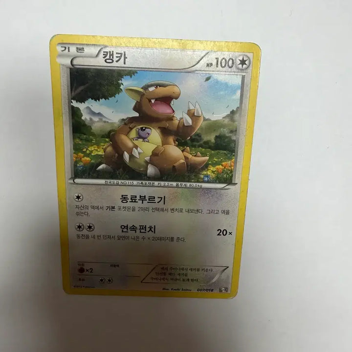 [BUNJANG] Pokemon Card / 캥카 포켓몬카드