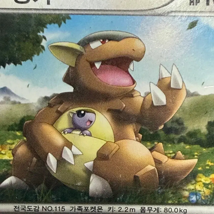 [BUNJANG] Pokemon Card / 캥카 포켓몬카드