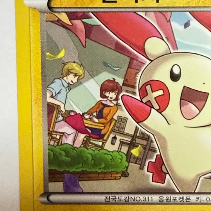 [BUNJANG] Pokemon Card Plush Connection Illustration / 플러시 연결 일러스트 포켓몬카드