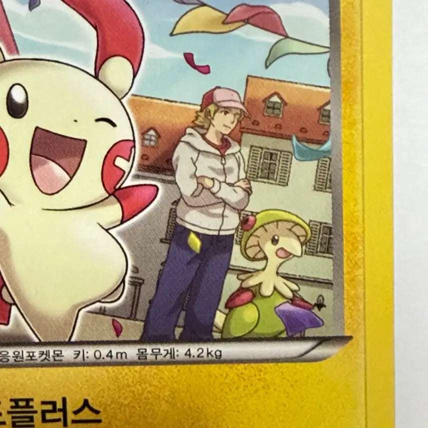 [BUNJANG] Pokemon Card Plush Connection Illustration / 플러시 연결 일러스트 포켓몬카드