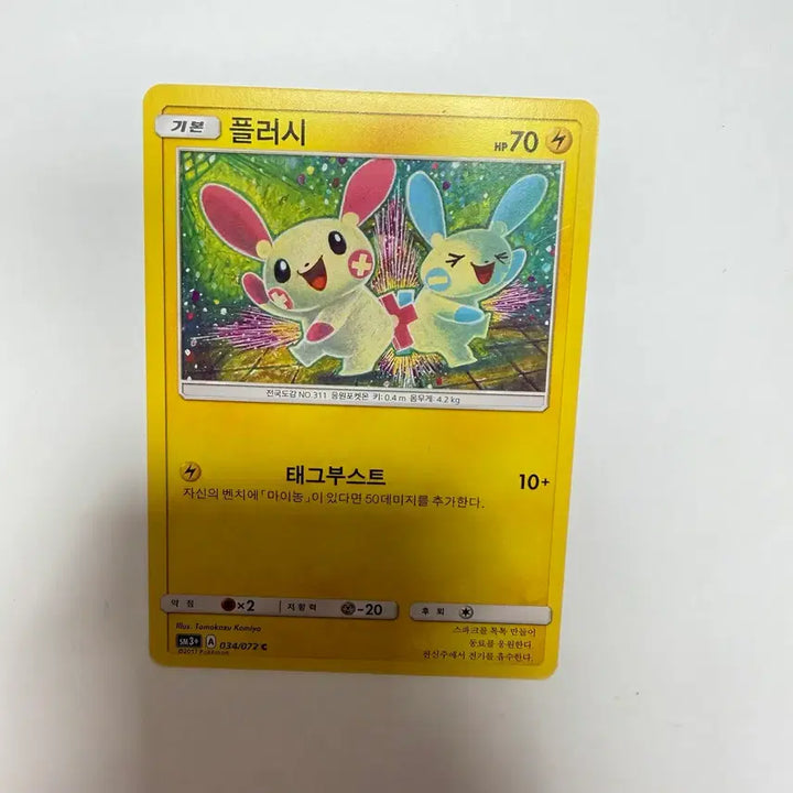 [BUNJANG] Pokemon Card / 플러시 포켓몬카드