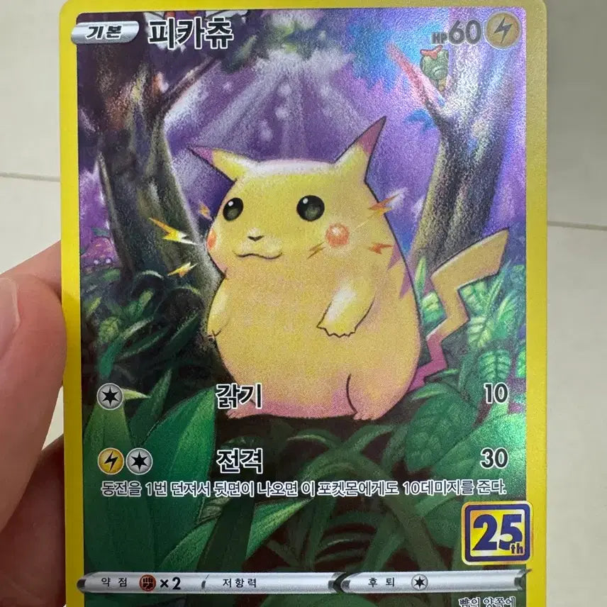 [BUNJANG] Pokemon 25th Anniversary Card Bundle - "Fat" Pikachu, Team Rocket, Zacian / 포켓몬카드 25주년 뚱카츄 로켓단 자마젠타 일괄
