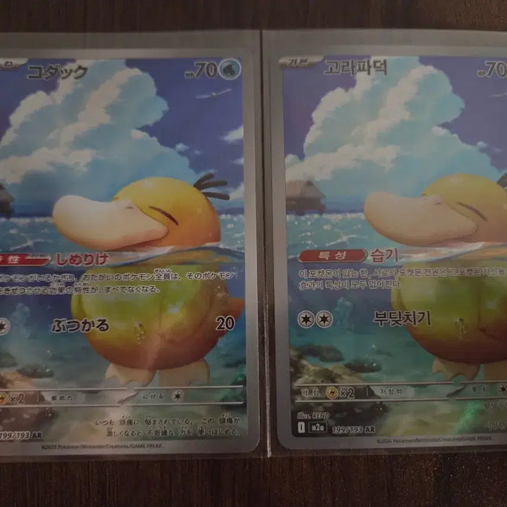 [BUNJANG] Pokemon Card Golduck AR / 포켓몬카드 메가드림 고라파덕 ar 한판 일판