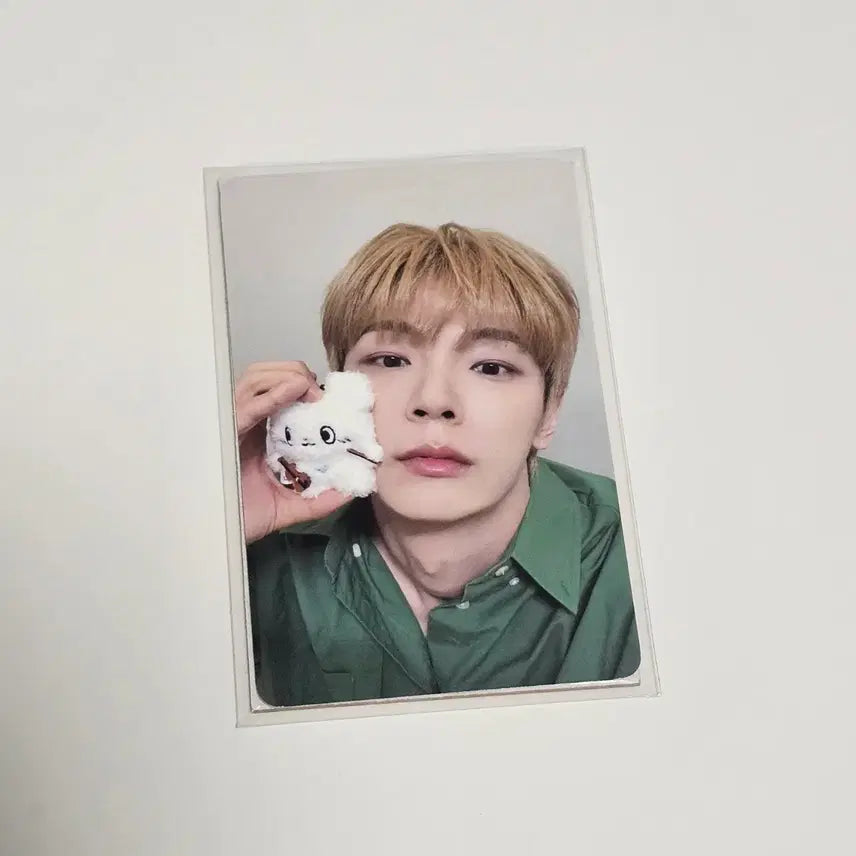 [BUNJANG] Lucy Mini Siru Chan Photocard Shinychan / 루시 신예찬 미니 시루인형 챠니 포카 포토카드
