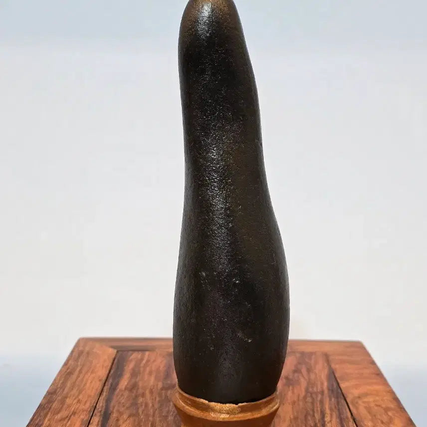 [BUNJANG] Korean Scholar&