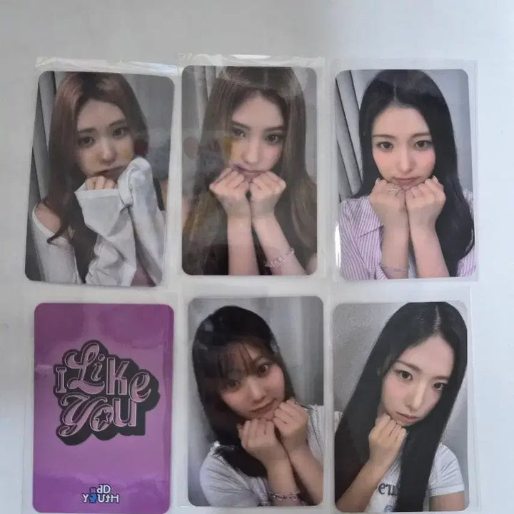 [BUNJANG] OddYouth Photocard / [포토카드] 오드유스