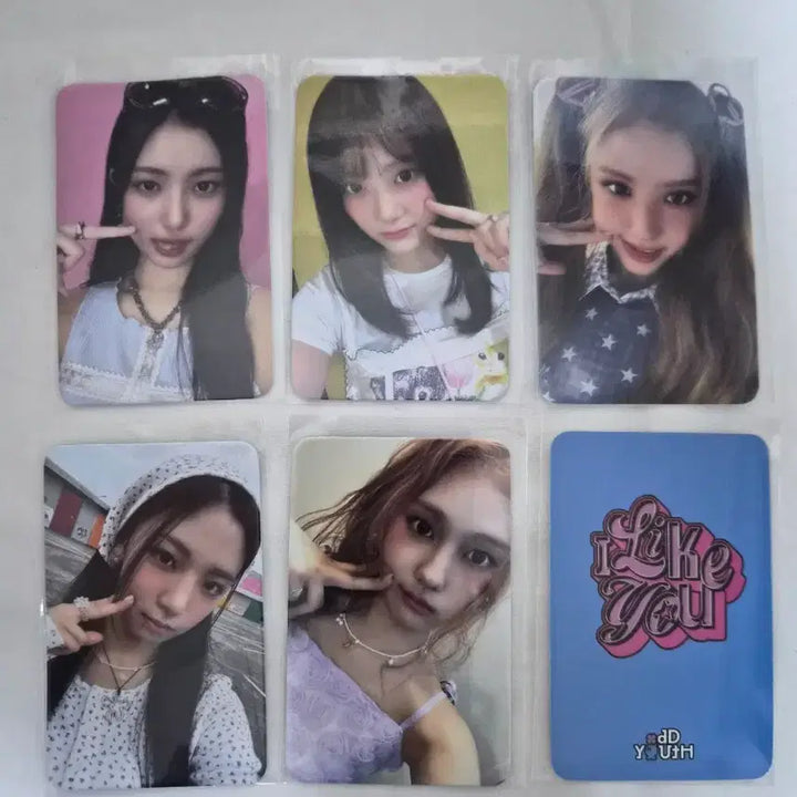 [BUNJANG] Oddinary Youth Applicant Benefit Photocard / [포토카드] 오드유스 응모자특전