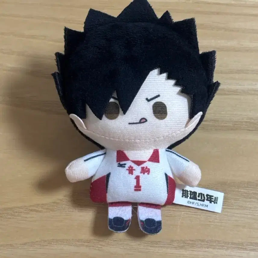 [BUNJANG] Haikyuu!! Kuroo Tetsuro Plush Doll / 하이큐 눌셋 쿠로오 인형 누이