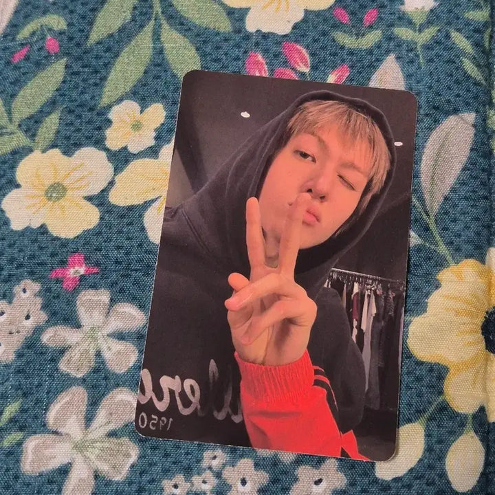 [BUNJANG] Korethis Martin GreenGreen RedRed Studio Album Photocard / 코르티스 마틴 그린그린 레드레드 스튜디오 앨범 포카 앨포 굿즈 포토카드