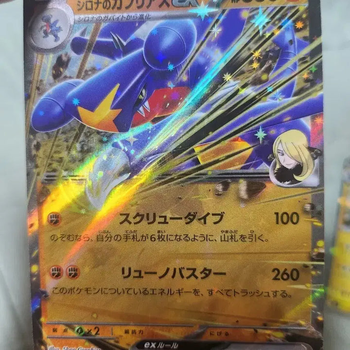 [BUNJANG] Sinnoh&