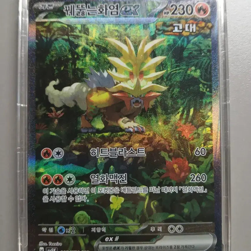 [BUNJANG] Pokemon Card Blazing Flame EX SAR / 포켓몬카드 꿰뚫는화염 EX SAR 와일드포스 수록(반택비 포함)
