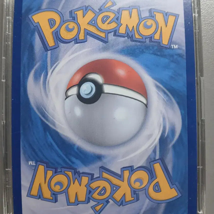 [BUNJANG] Pokemon Card Blazing Flame EX SAR / 포켓몬카드 꿰뚫는화염 EX SAR 와일드포스 수록