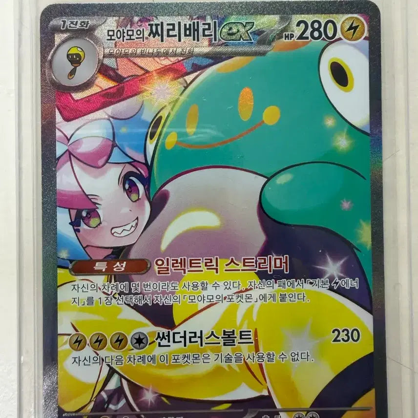 [BUNJANG] Pokemon Card - Fluffy Bear EX SAR, Reshiram AR / 포켓몬카드 거래합니다~