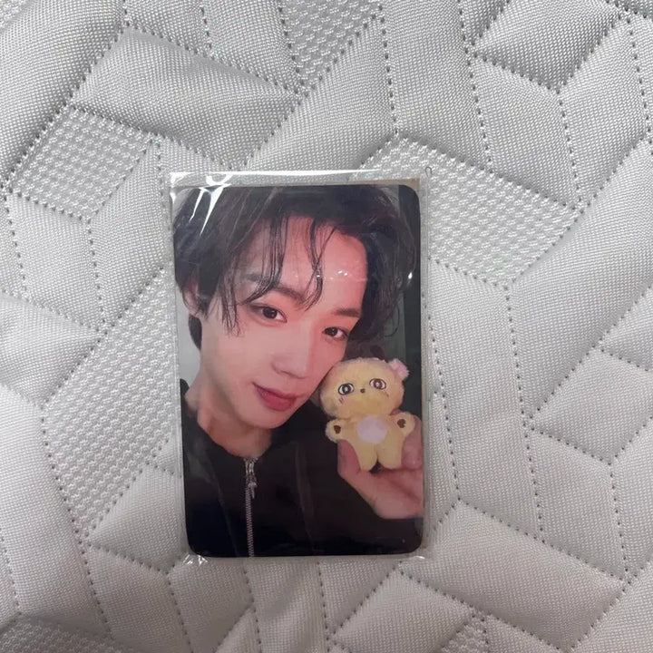 [BUNJANG] Park Ji Hoon "So Sim" Doll / 소심이 인형 팝니다!