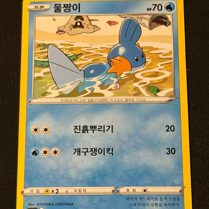 [BUNJANG] Vintage Pokemon Card Mudkip / 고전 포켓몬 카드 물짱이